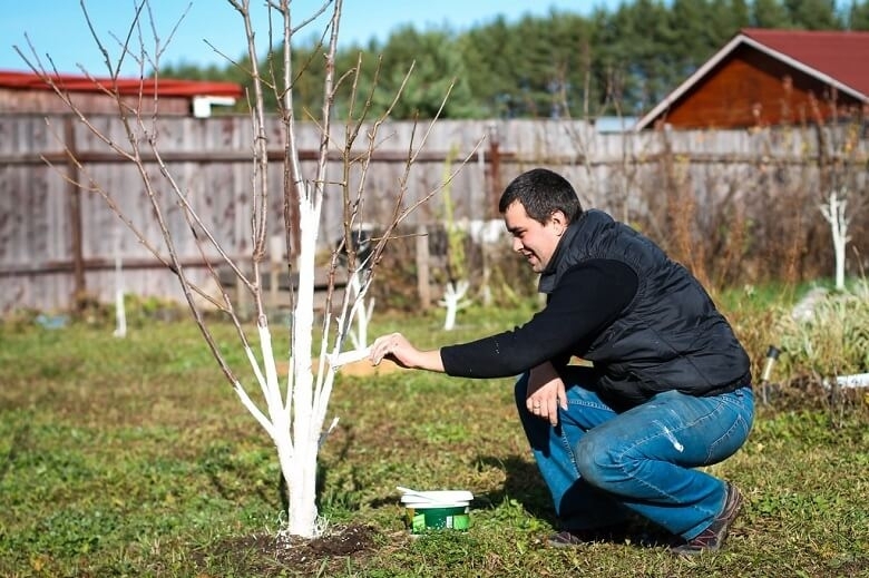 Gartenarbeit Green Art